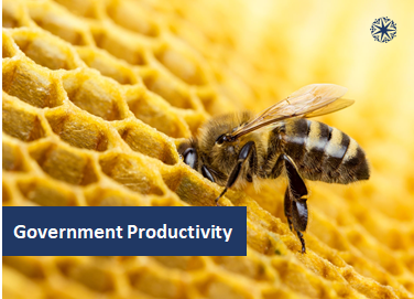 http://gpm-suite.com/wp-content/uploads/2020/12/Government-Productivity.png